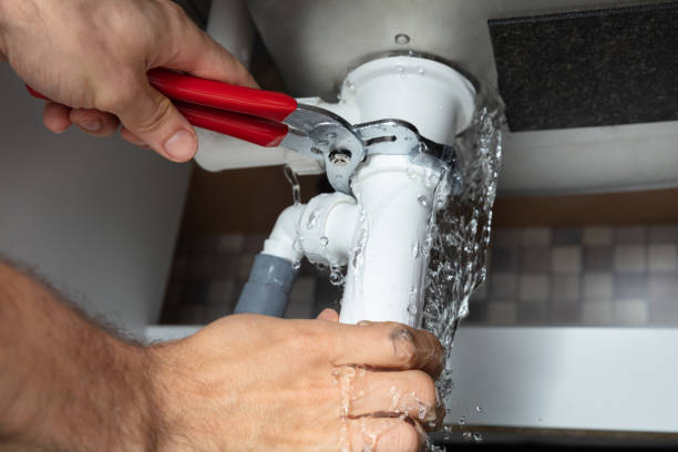 Best Water damage mitigation services  in Whittingham, NJ