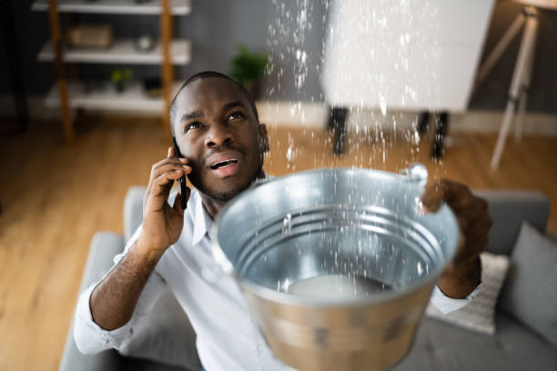 Best Water damage cleanup near me  in Whittingham, NJ