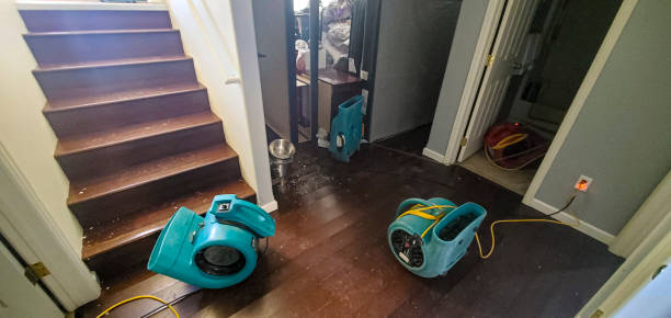 Best Emergency water damage restoration  in Whittingham, NJ