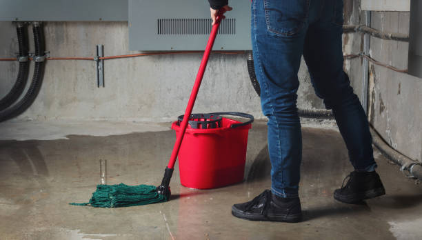 Best Flood damage cleanup  in Whittingham, NJ
