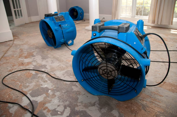 Best 24-hour water damage restoration  in Whittingham, NJ