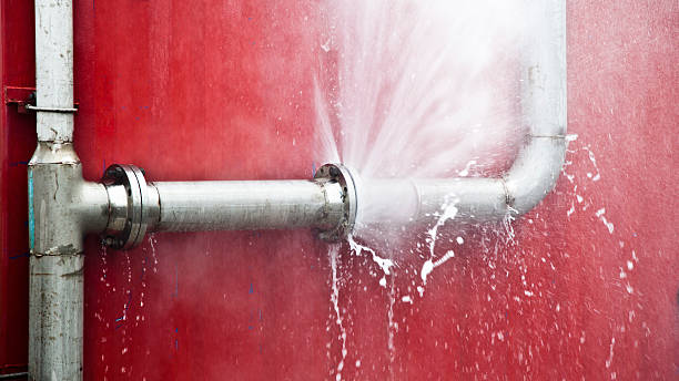Best Basement water damage restoration  in Whittingham, NJ